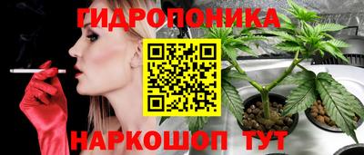 ПСИЛОЦИБИНОВЫЕ ГРИБЫ Апшеронск
