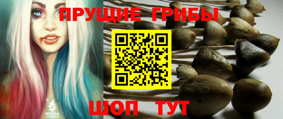 Псилоцибиновые грибы Magic Shrooms Балахна