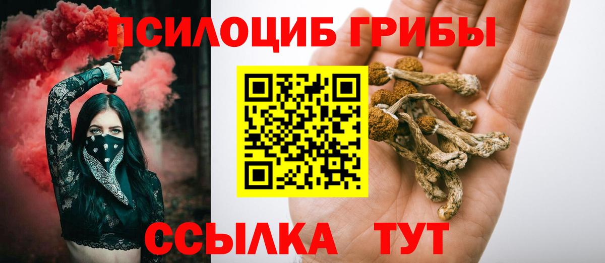 Галлюциногенные грибы GOLDEN TEACHER  купить закладку  Балахна  Вход с VPN  Псилоцибиновые грибы ЛСД 