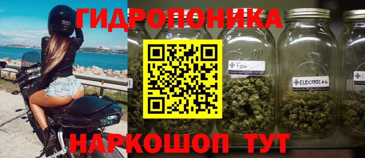 Бошки марихуана гибрид Балахна